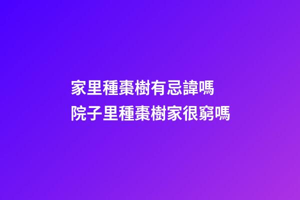 家里種棗樹有忌諱嗎 院子里種棗樹家很窮嗎